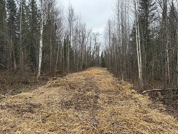 2nd image of N Little Turtle Lake Rd