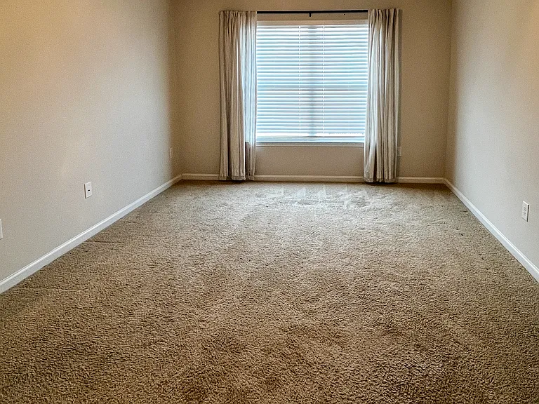 909 Robbie Jackson Ln — Photo 13