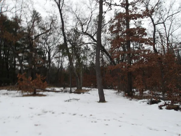 4840 Bryant Rd, Glennie, MI 48737