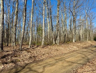 0 Mount Tom Ln, Wellsboro, PA, 16901