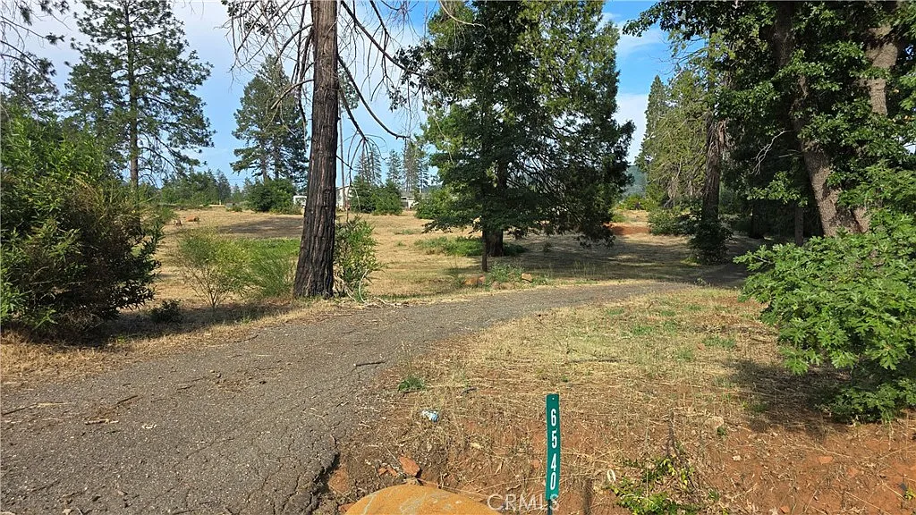 6540 Pentz Rd photo 1