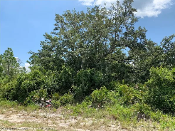 311 Hallmark Ave, Lake Placid, FL 33852