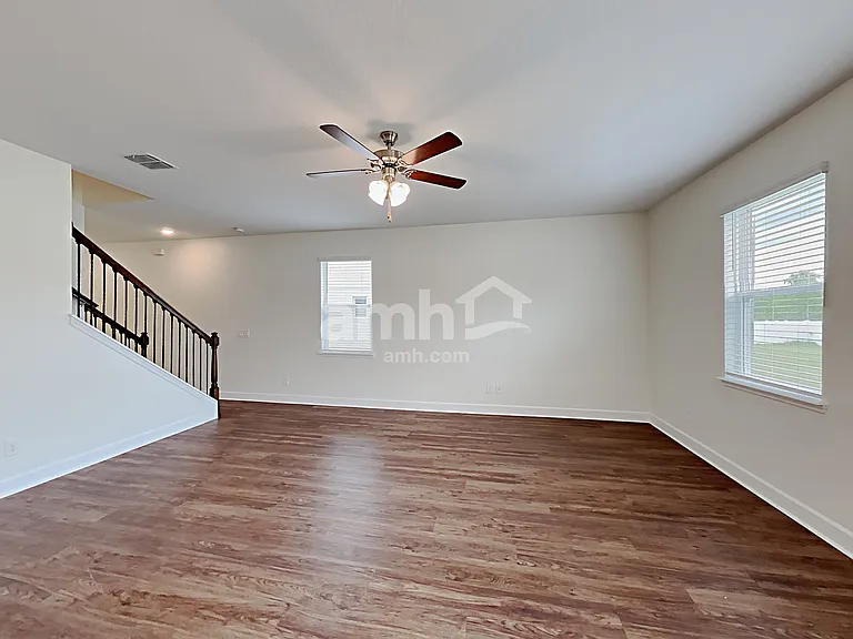 1397 Celery Palm Cv — Photo 9