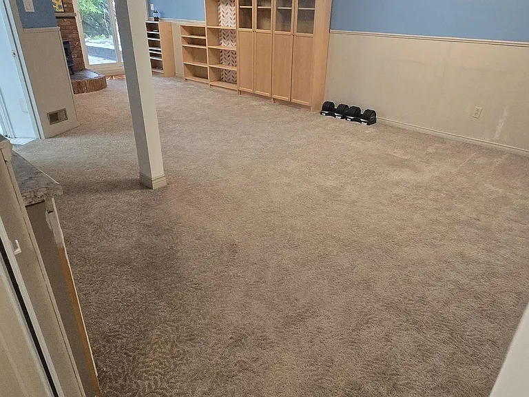 106 Springdale Cres #LOWER LEVEL — Photo 21