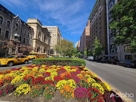 Rented by Alpha Properties NYC I LLC | media 2