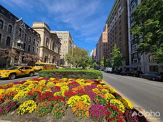 Rented by Alpha Properties NYC I LLC