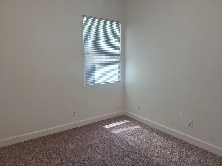 5703 Herbal Way — Photo 13
