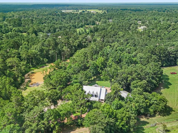 18107 Keenan Cut Off Rd, Montgomery, TX 77316