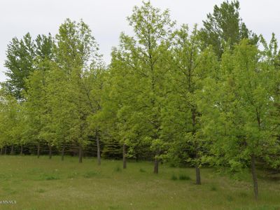 Xxx Northwood Ln, Fergus Falls, MN, 56537