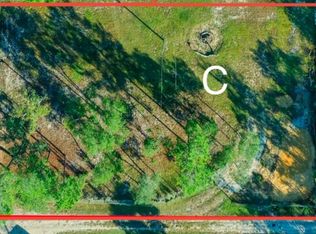 15400 NE 234th Ln LOT C, Fort Mc Coy, FL 32134