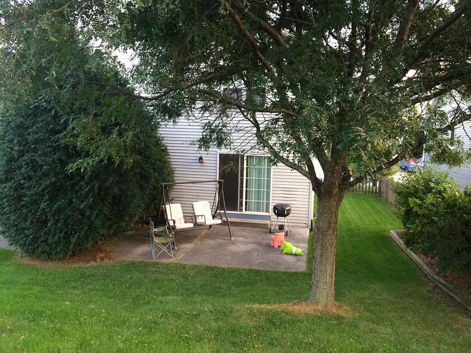 Back yard