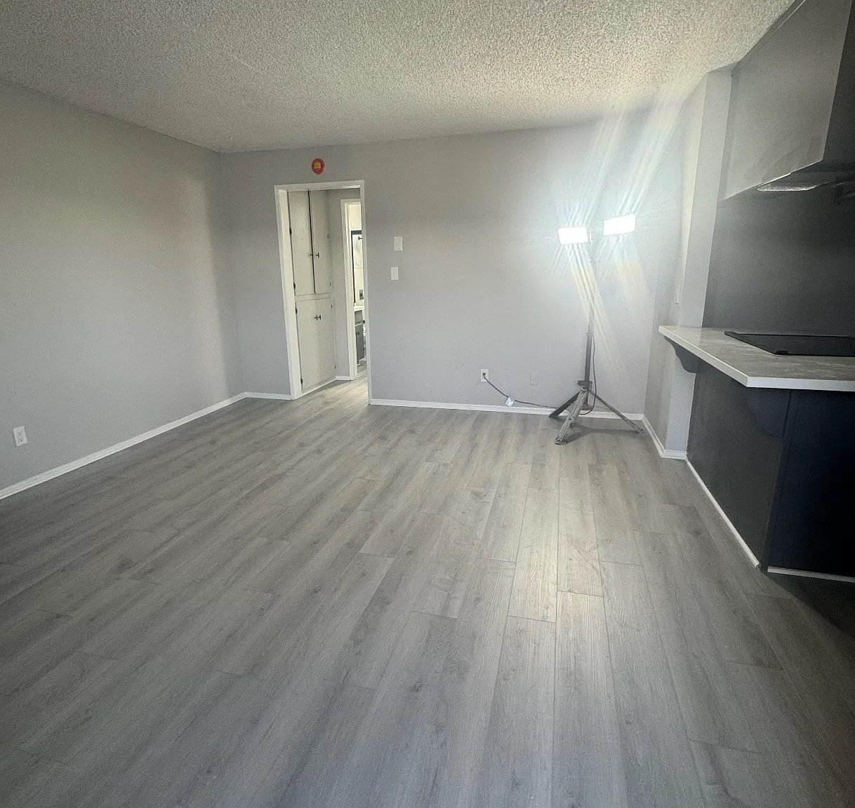 1 bed, 450 sqft, $2,100 — Photo 2