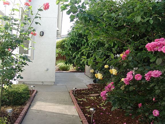 3rd image of 4776 Creekwood Dr