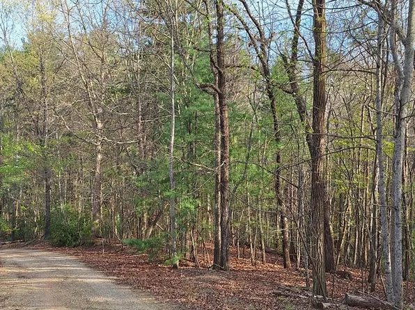 LOT 22 Mull Lane Cir Lot 22, Morganton, GA 30560