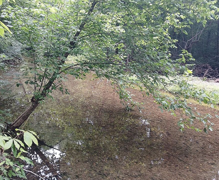 1st image of 101 Goodeaux Rd