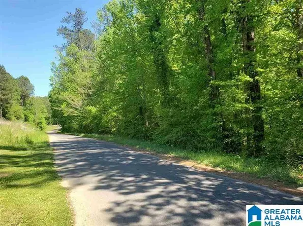 4360 Jim Tate Rd, Dora, AL 35062