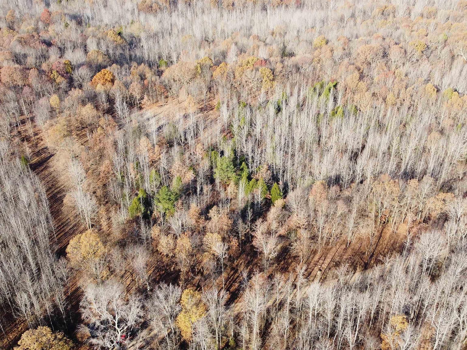 418 Clay 408 Rd, Lafe, AR 72436 MLS 23038348 Zillow