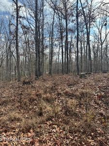 Peachtree Dr, Crossville, TN, 38555