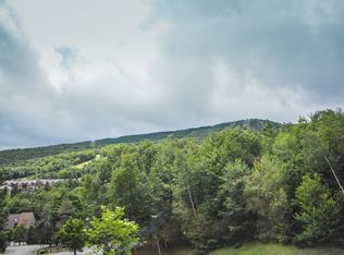 34b Snowtree Lane #MEADOWS B, West Dover, VT 05356