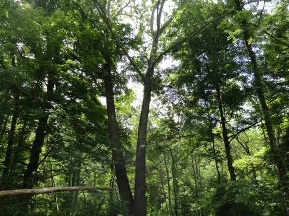0 E Anderson Rd, Bloomington, IN 47408