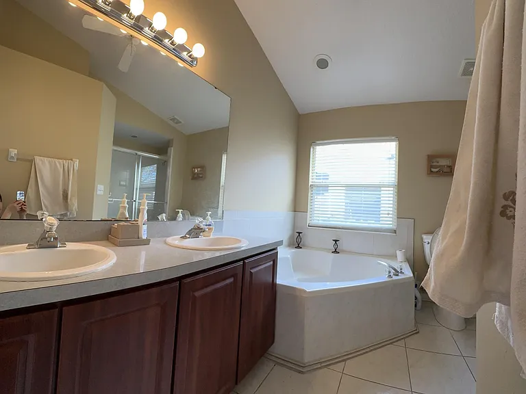 Master bathroom view