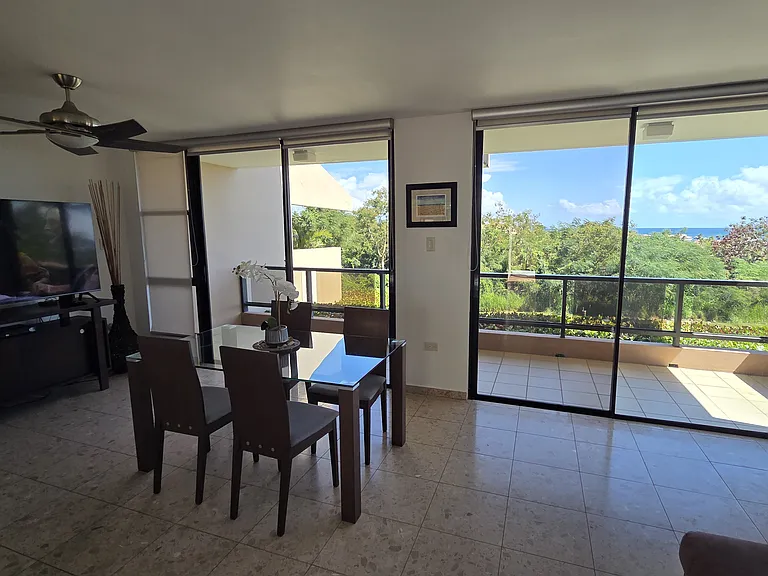 A18 La Jolla Palmas Del Mar Dr — Photo 12