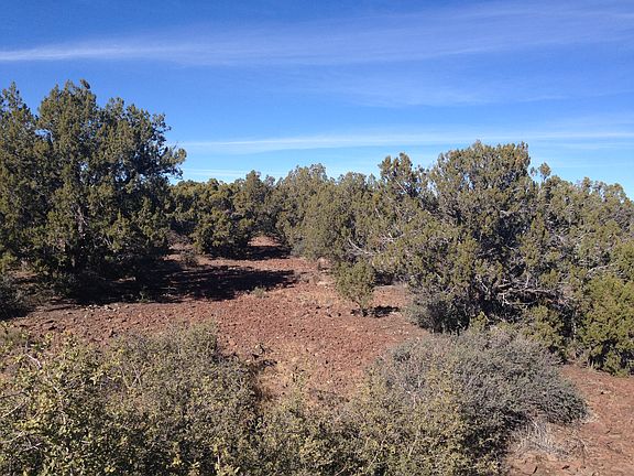 4th image of Unk Wapiti