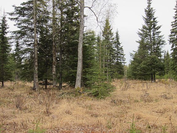 4th image of 15670 Wild Salmon Way
