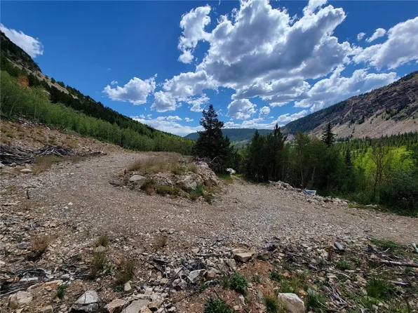 3821 County Road 12, Alma, CO 80420