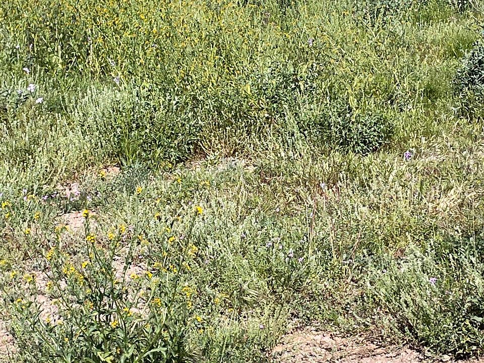 2nd image of xx9e N Elephant Butte Road #-