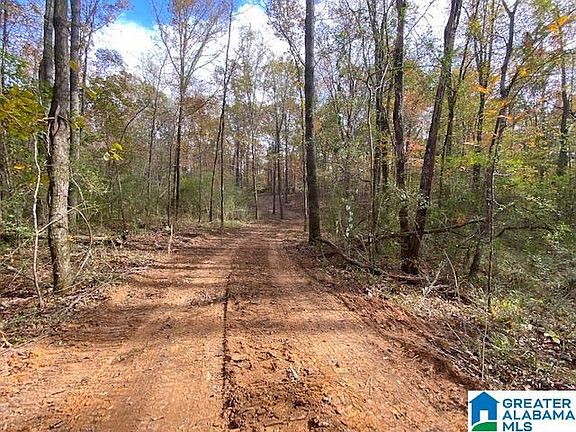 4th image of Valley View Dr #4.66