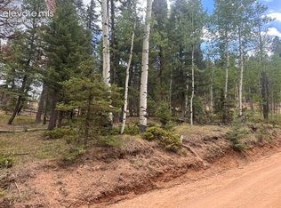 687 Trout Haven Rd, Florissant, CO 80816