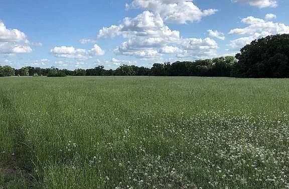4th image of 360 County Road 140