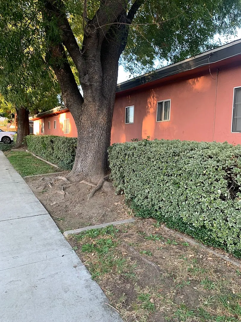 1260 W. Stoneridge Ct. — Photo 2