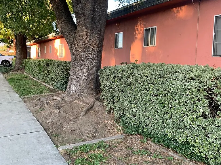 1260 W. Stoneridge Ct. — Photo 2
