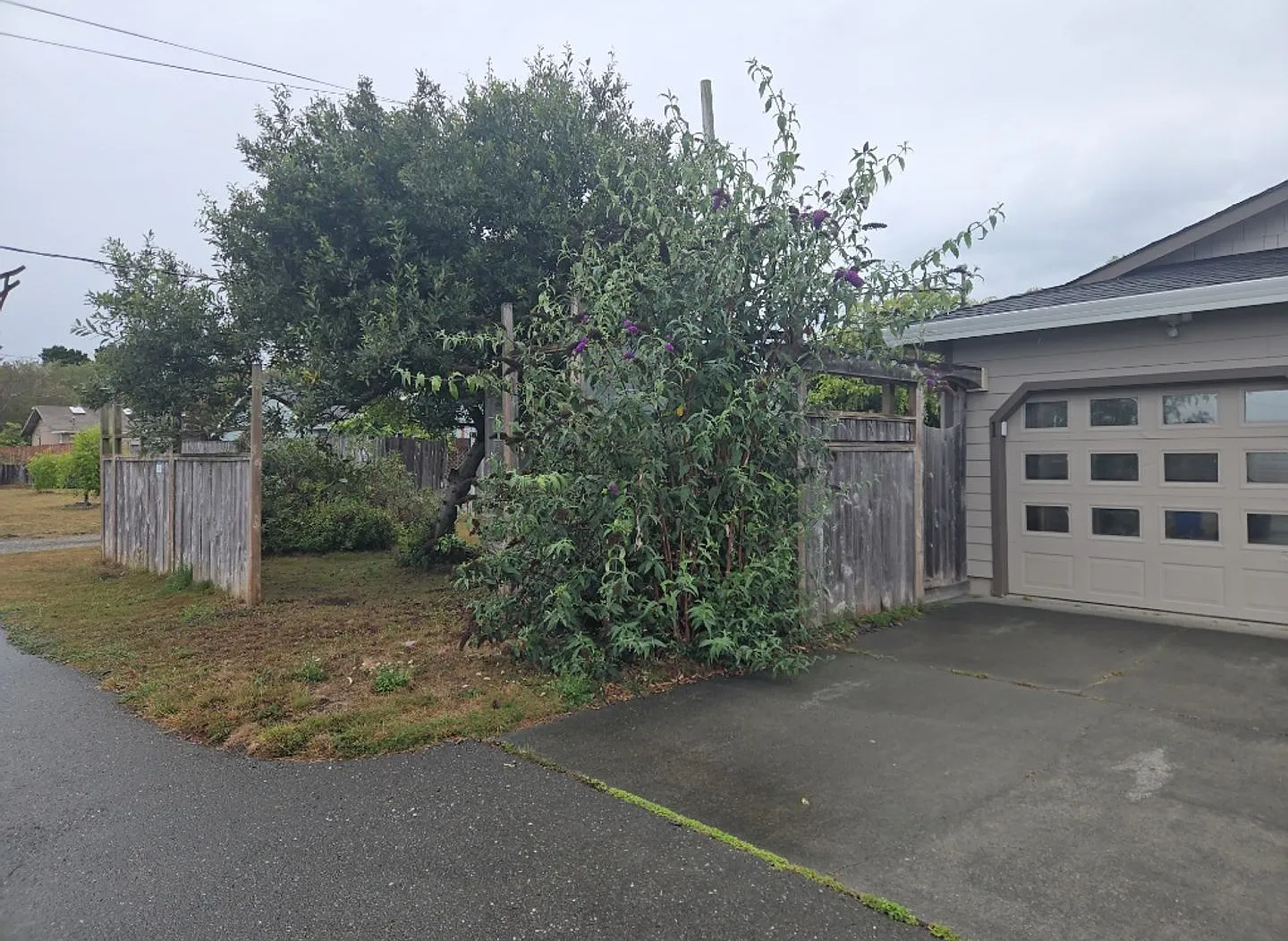 1655 - 1659 Fischer Ave. PRM: Andrew  — Photo 3