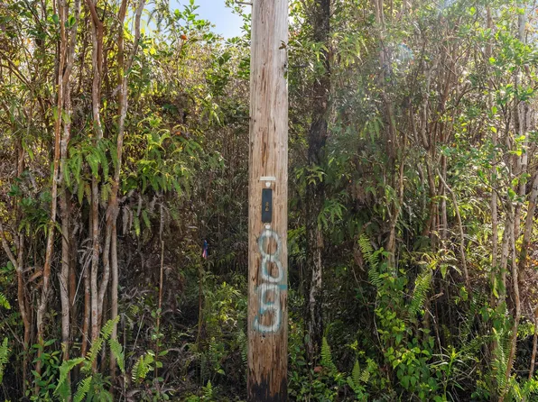 Lehua St, Mountain View, HI 96771