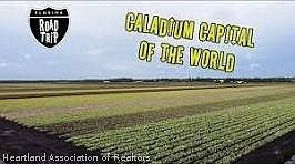 3rd image of 160 Mango Rd NE