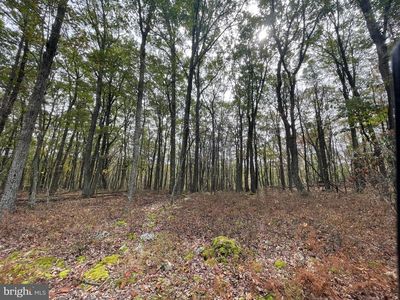 130 Spring Mountain Dr, Zion Grove, PA, 17985