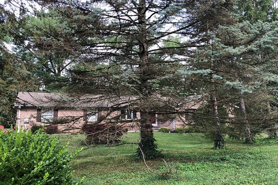 1st image of 2898 Mount Airy Ave