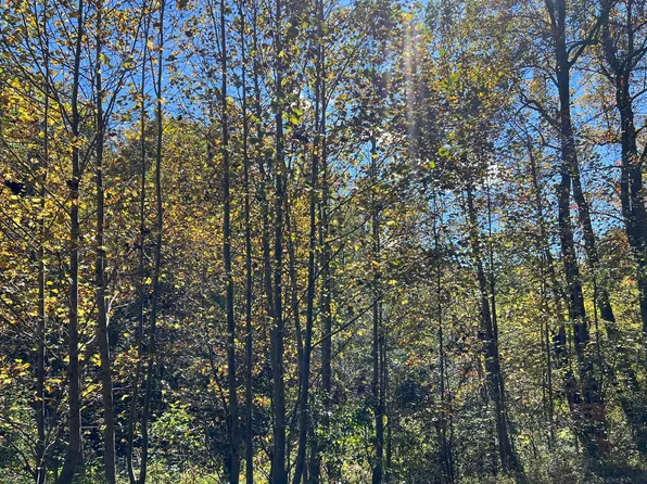 4AC Tusquittee Rd, Hayesville, NC 28904