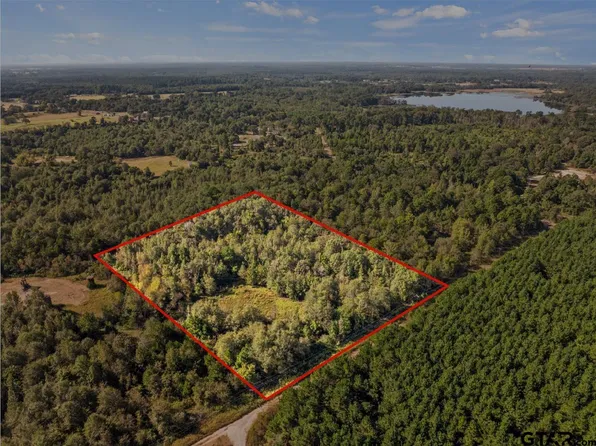 County Road 3322, Leesburg, TX 75451