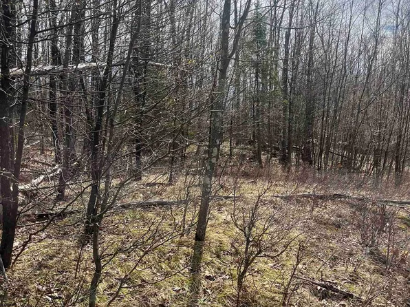 Nature Trail Rd, Townsend, WI 54175