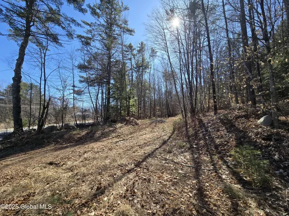 L11.231 Valentine Pond Road, Pottersville, NY 12860