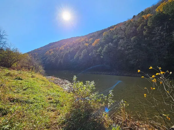 100 Ross Run Ln, Cammal, PA 17723