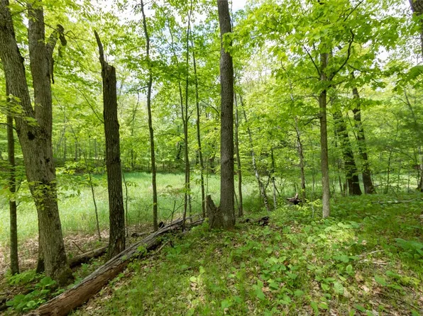 Lot 15 133rd Street, Amery, WI 54001