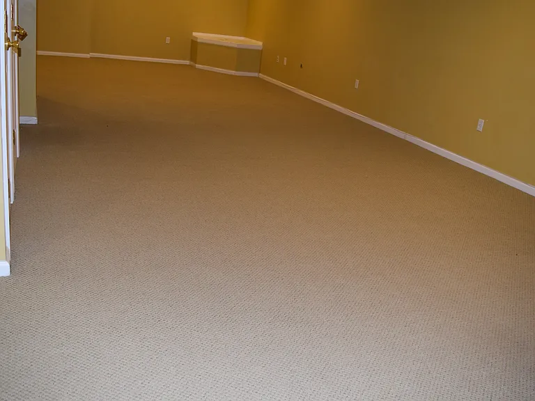 713 Whitetail Cir — Photo 23