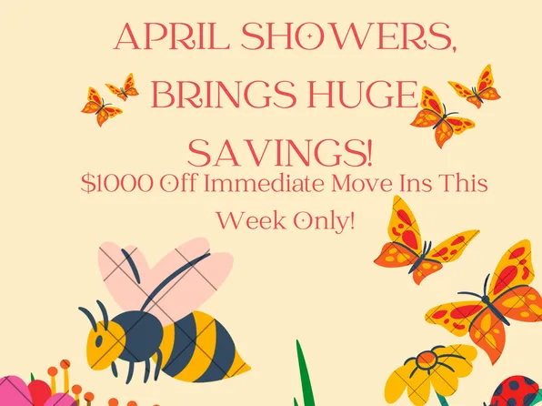 Springs of Country Woods