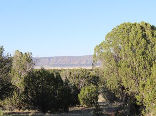 34836 W Avenida Risco, Seligman, AZ 86337