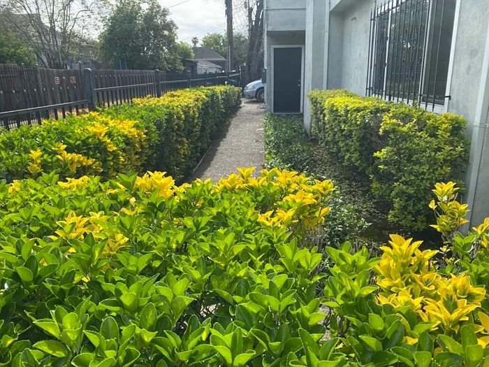 2635 Alhambra Blvd #A — Photo 3
